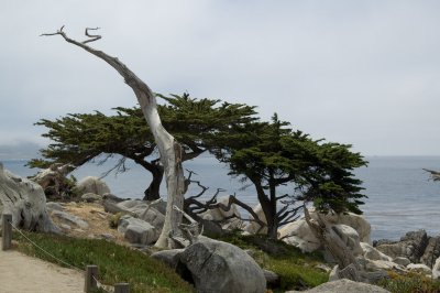 20080622-_DSC0003.jpg
