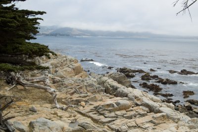 20080622-_DSC0014.jpg