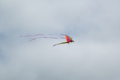 20080622-_DSC0023.jpg
