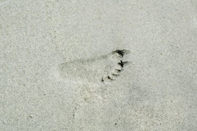 20080622-_DSC0059.jpg