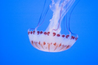 20080621-_DSC0034.jpg