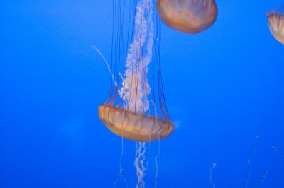 20080621-_DSC0046.jpg