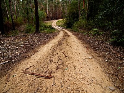 5th-n-a-bit - Aussie bush track by Dennis