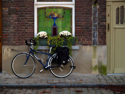 Bike + Flowers, Alistair