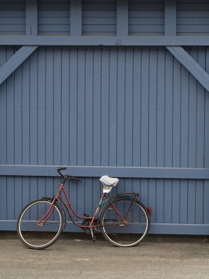Bicycle blues -magnus