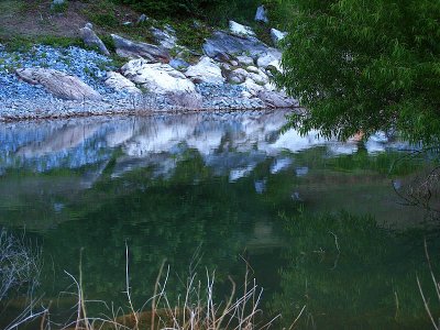 lake reflection and grass - Catman