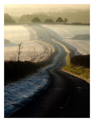 4th - Frosty Morning - Colin