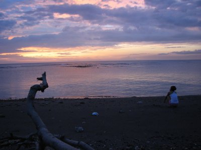 IMG_4120 (Custom).jpg