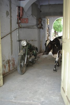 IMGP4510 (Custom).jpg