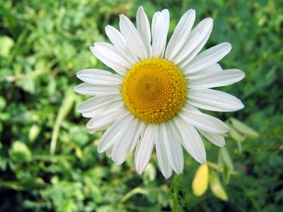 27/9 2006