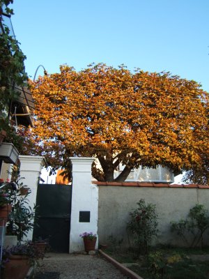 29/8 2006