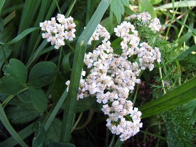 30/9 2006