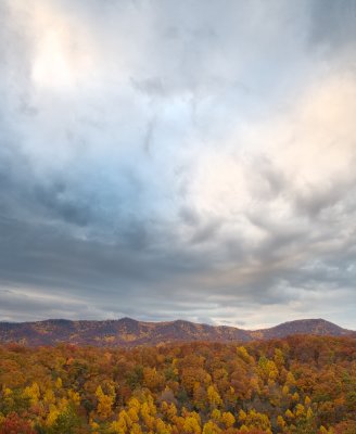 Smokeys_20081109_177