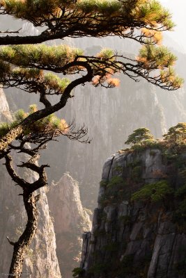 Huangshan_091022_217.jpg