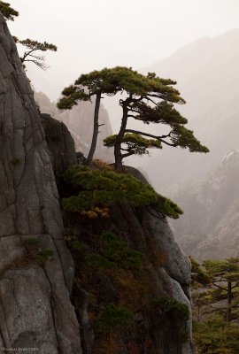 Huangshan_091022_644.jpg