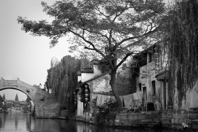 Xitang_091019_128-Edit.jpg