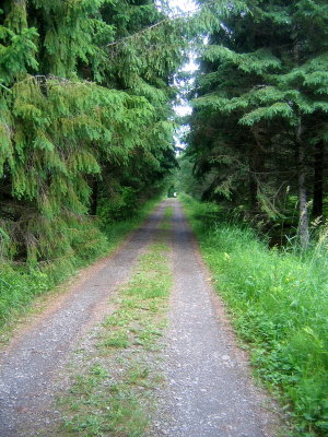 IMG_3800.JPG