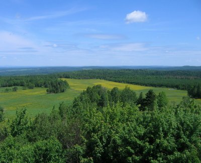 IMG_3854.JPG