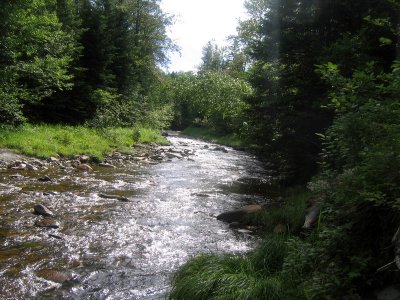 IMG_3858.JPG