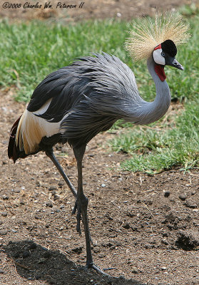 Santa Barbara Zoo