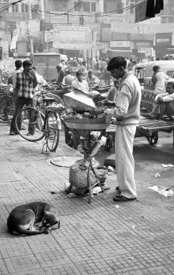 Spice Market, Old Delhi