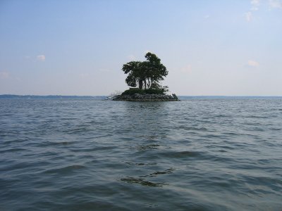 Mason Neck 06