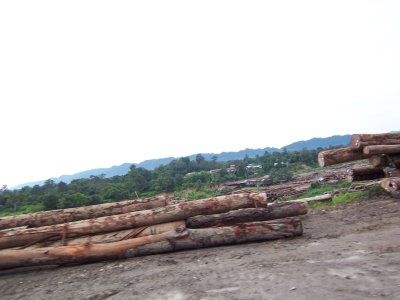 Logs stck up in Medamit