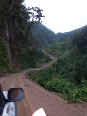 6 hours of this logging road