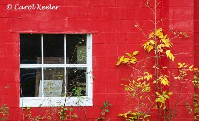 Red Wall with Yellow Leaves