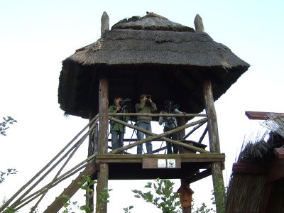 Observation Tower Grobla Honczarowska