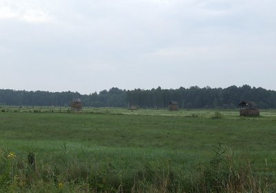Belarus Border