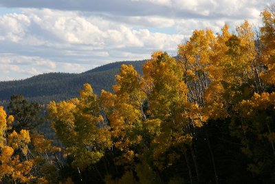 IMG_5528_ce.jpg