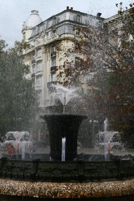 sofia5.JPG