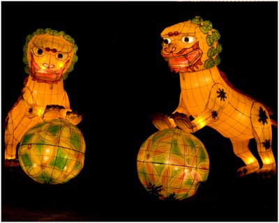 Chinese Lanterns - Jardin Chinois
