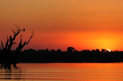 Img_237.JPG