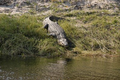 Img_240.JPG