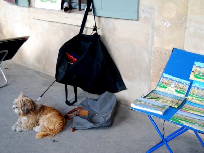 Artist's dog, Place Des Vosges