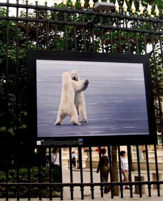 Dancing Bears