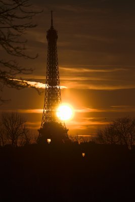 _MG_9343-01.jpg