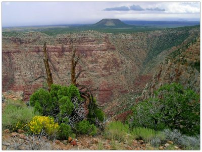 Grand Canyon National Park, Arizona