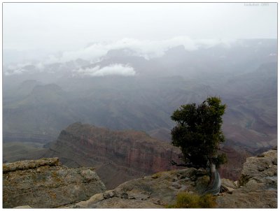 Grand Canyon National Park, Arizona