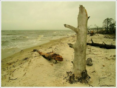 Dauphin Island, Alabama