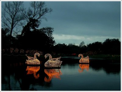 Bellingrath Gardens and Home, Theodore, Alabama