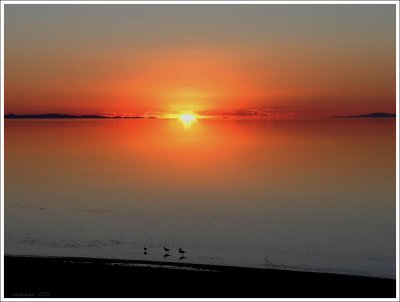 Antelope Island State Park, Utah