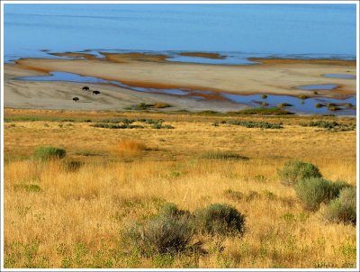 Antelope Island State Park, Utah