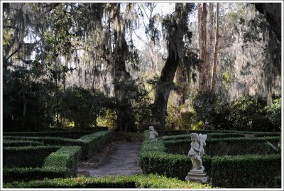 Magnolia Plantation, Charleston, South Carolina