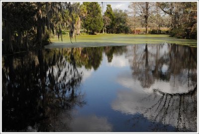 Magnolia Plantation, Charleston, South Carolina