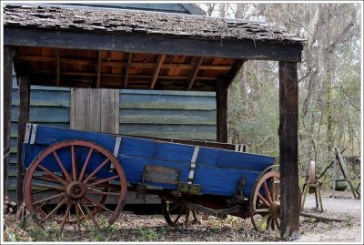 Magnolia Plantation, Charleston, South Carolina‎