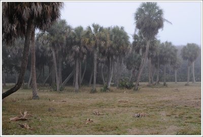 Tybee Island, Georgia