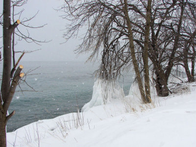The Winter Shore